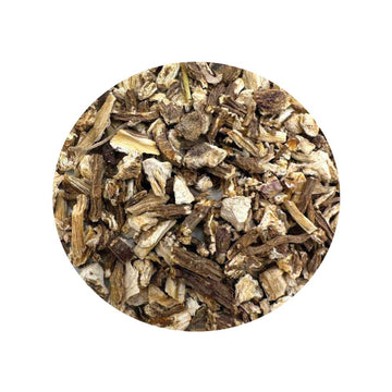 Dried Angelica Root for protection, purification, and spiritual strength