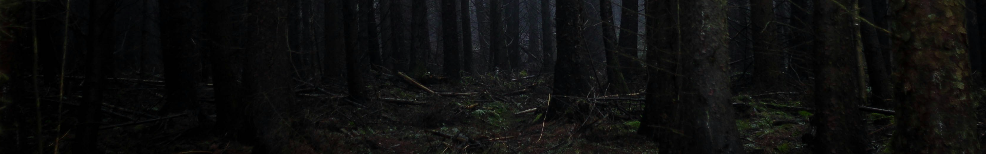 collection-banner-image