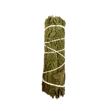 Cedar Cleansing Stick for purification, space clearing, and spiritual protection