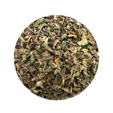 Dandelion Leaf used in wish magic, luck spells, and spiritual cleansing