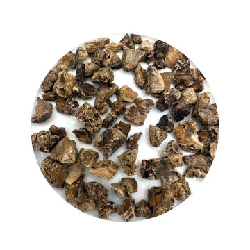 Devil’s Claw root for protection, banishing, and hex-breaking rituals