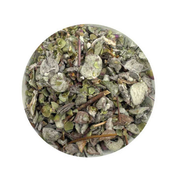 Dried Dittany of Crete for astral travel, spirit communication, and manifestation rituals