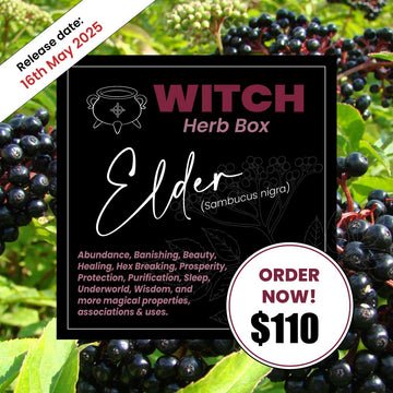 Elder Witch Herb Box for Protection and Wisdom