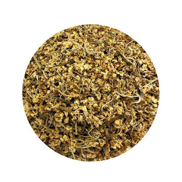 Elder Flower herb for protection, spiritual cleansing, and hex breaking