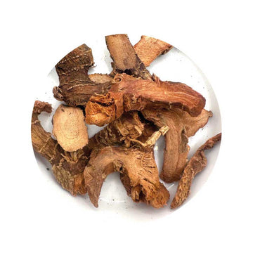 Galangal root for power, prosperity, and legal magic