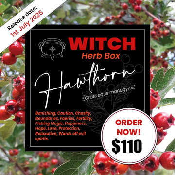 Hawthorn Witch Herb Box for Protection and Love