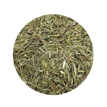 Dried Horsetail Herb for protection and growth spells