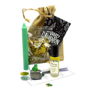 Money Spell Kit