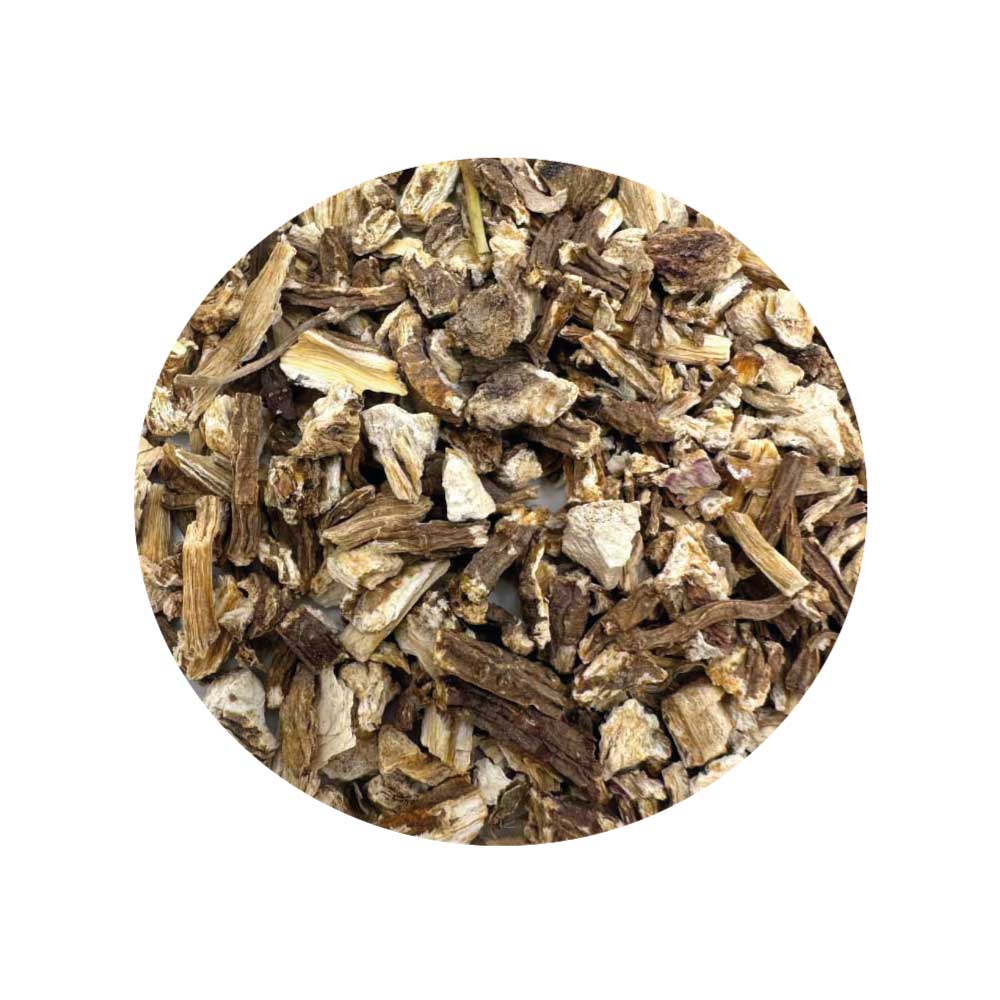 Dried Angelica Root for protection, purification, and spiritual strength