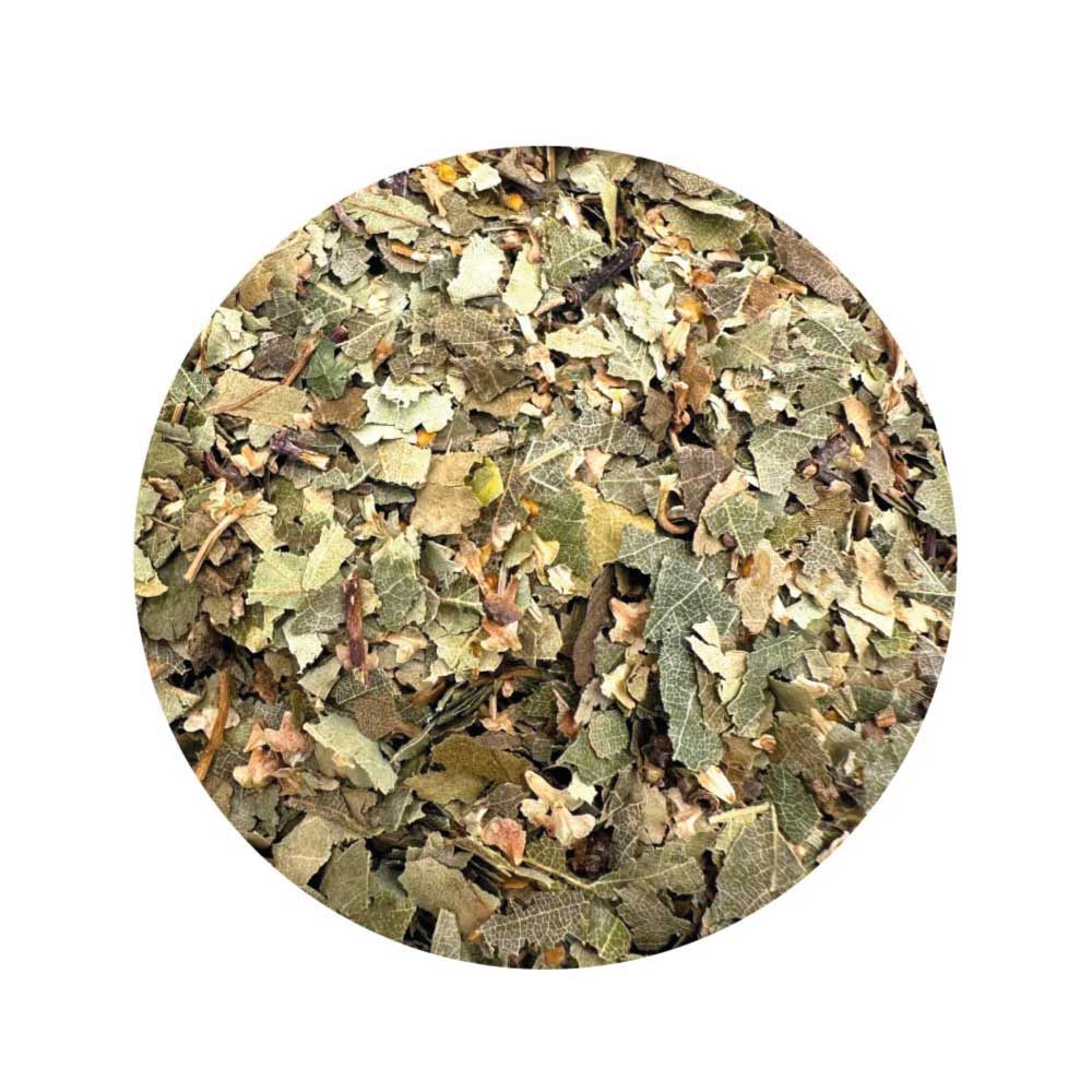 Dried Birch Leaf for protection, fertility, and spiritual cleansing rituals