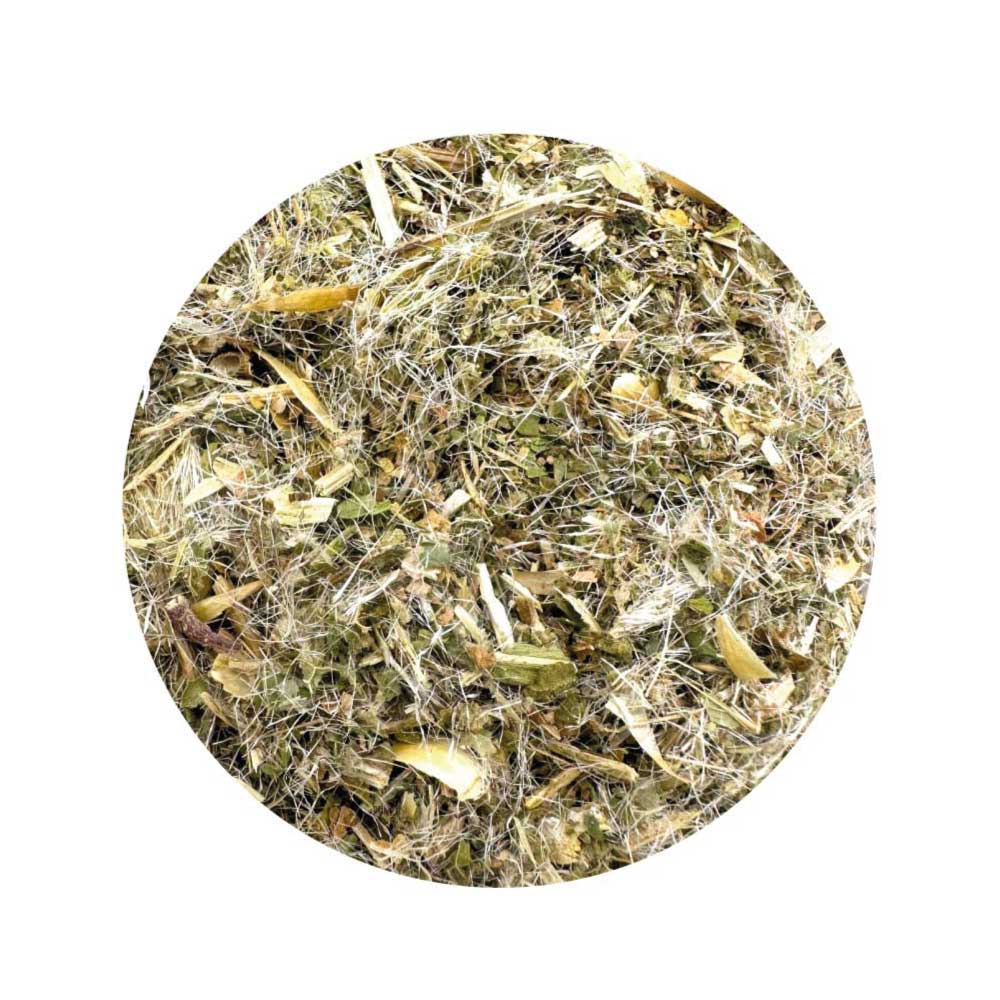 Dried Blessed Thistle herb for protection, hex-breaking, and spiritual cleansing