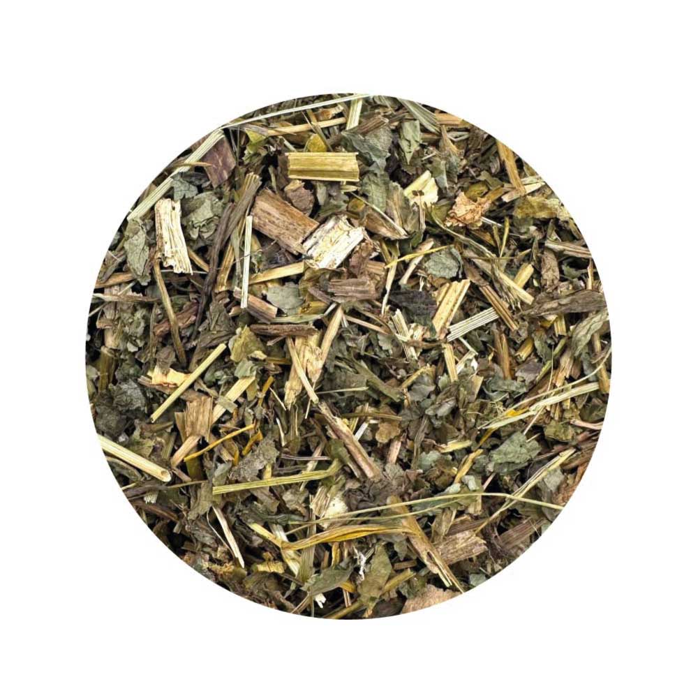 Dried Celandine herb for protection, luck, and legal magic spells