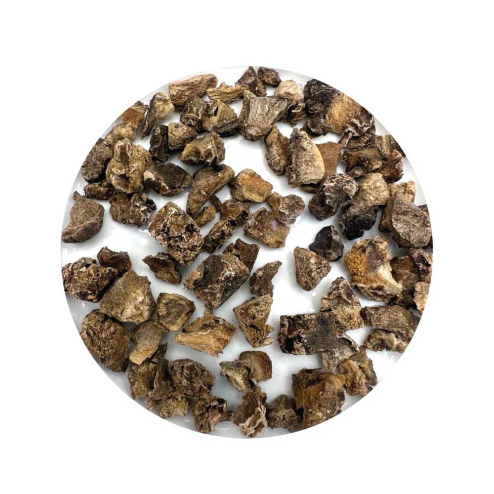 Devil’s Claw root for protection, banishing, and hex-breaking rituals