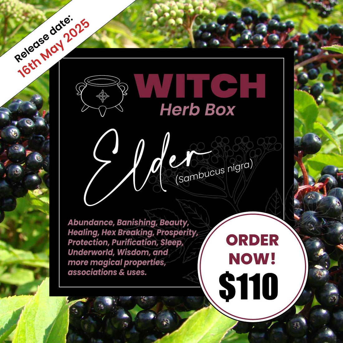 Elder Witch Herb Box for Protection and Wisdom