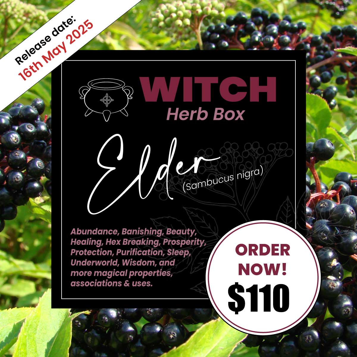 Elder Witch Herb Box for Protection and Wisdom