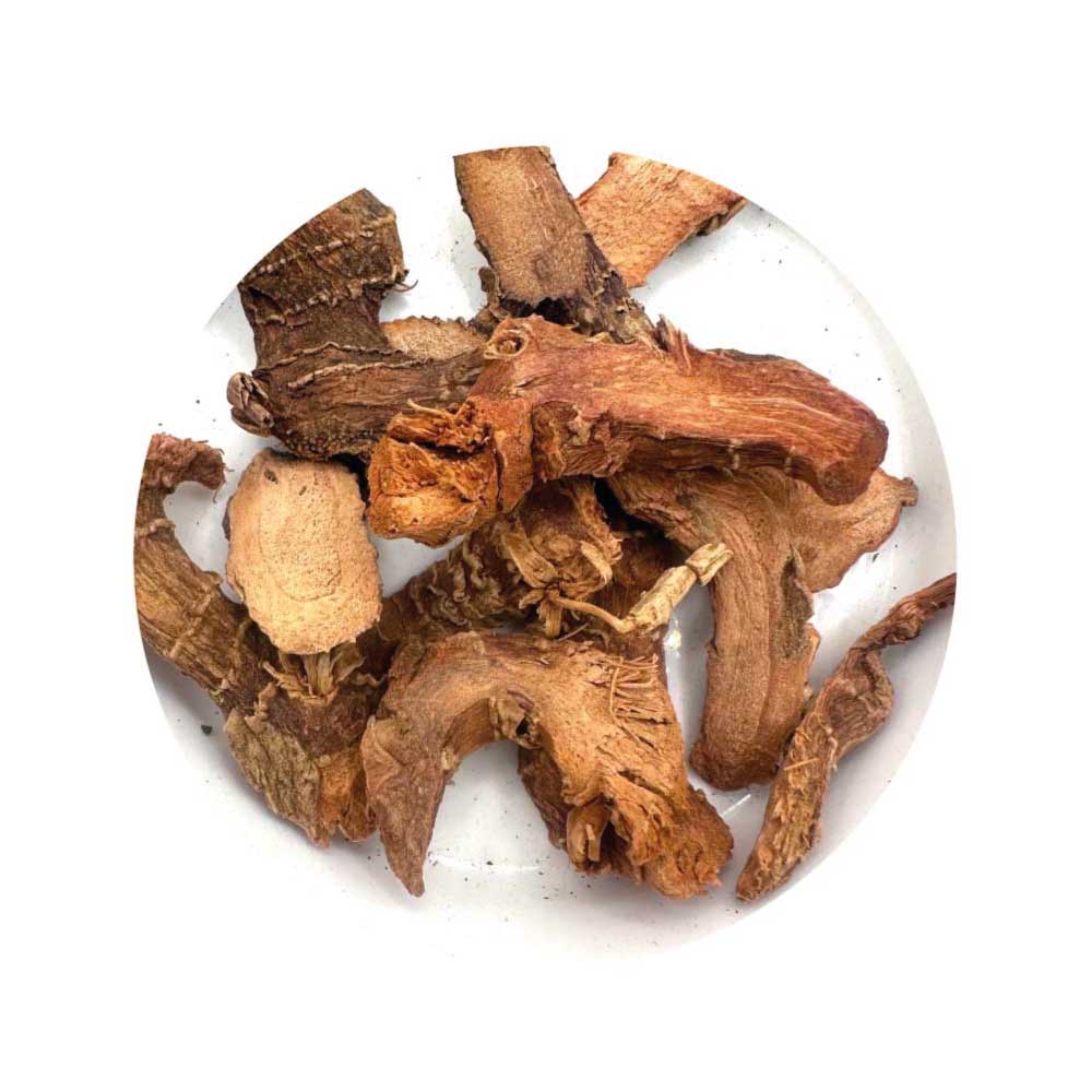 Galangal root for power, prosperity, and legal magic