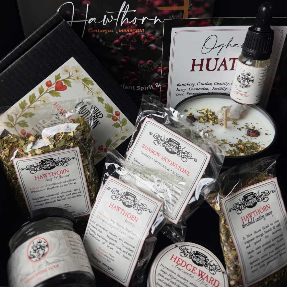 HAWTHORN - Witch Herb Box