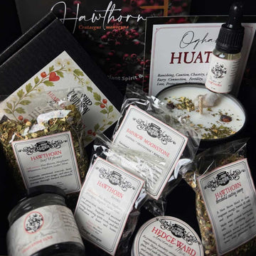 HAWTHORN - Witch Herb Box