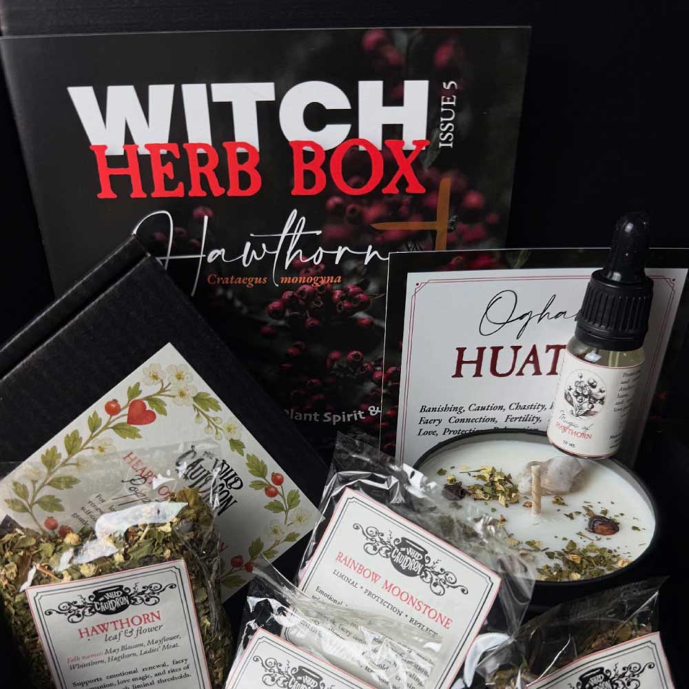 HAWTHORN - Witch Herb Box