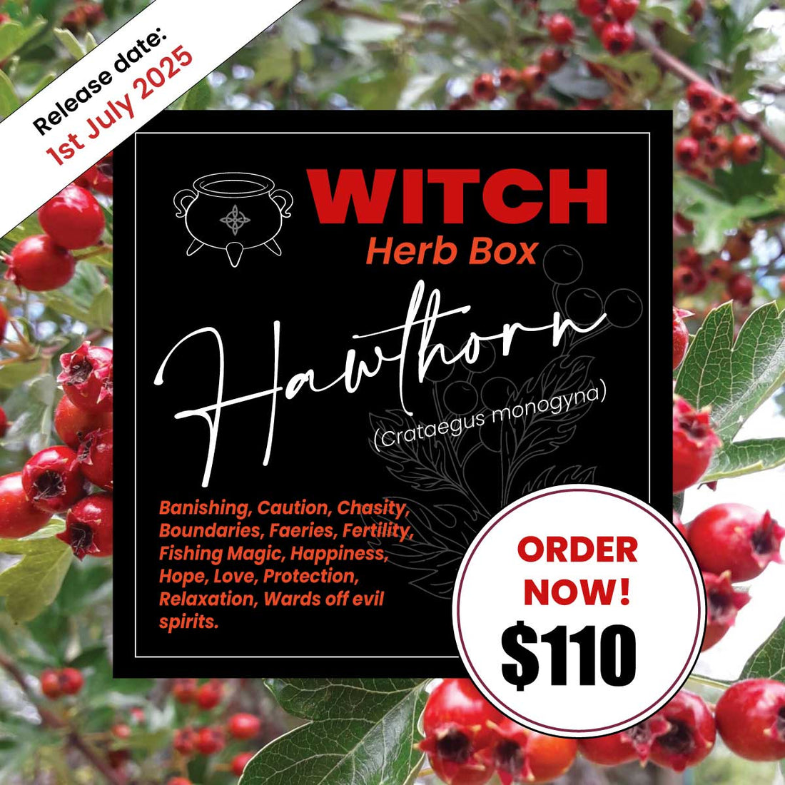 Hawthorn Witch Herb Box for Protection and Love