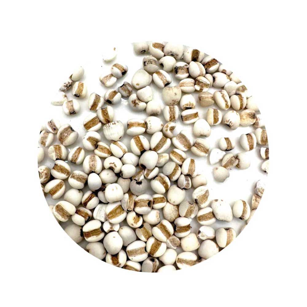 Job’s Tears seeds for luck, money, and wish magic