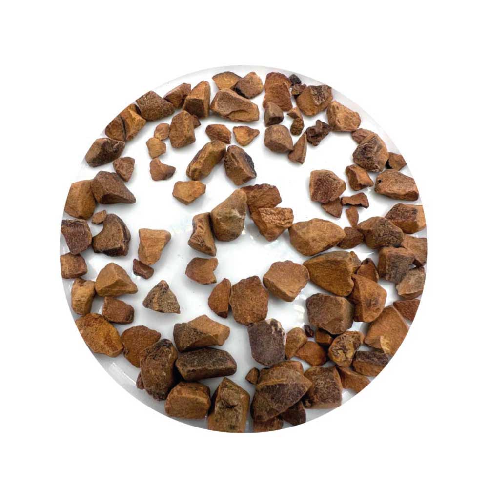 Kola Nut for spiritual offerings and energy rituals