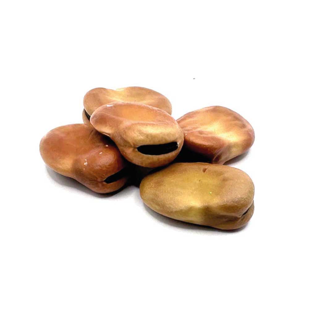 Mojo beans for prosperity magic
