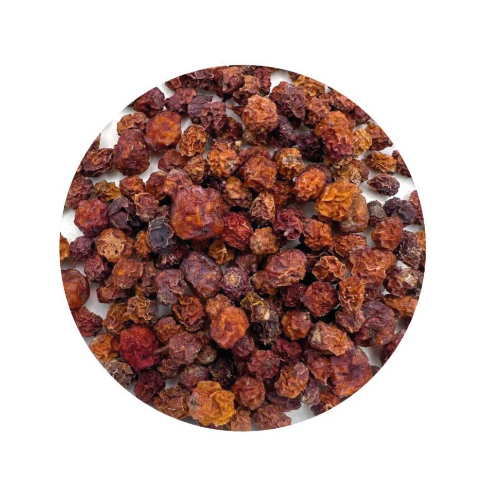 Rowan Berries for Witchcraft and Protection