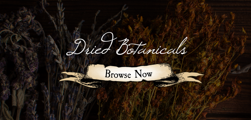 Dried herbs, roots, and flowers for magical and ritual use – The Wild Cauldron apothecary collection banner