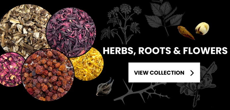 Dried herbs, roots, and flowers for magical and ritual use – The Wild Cauldron apothecary collection banner