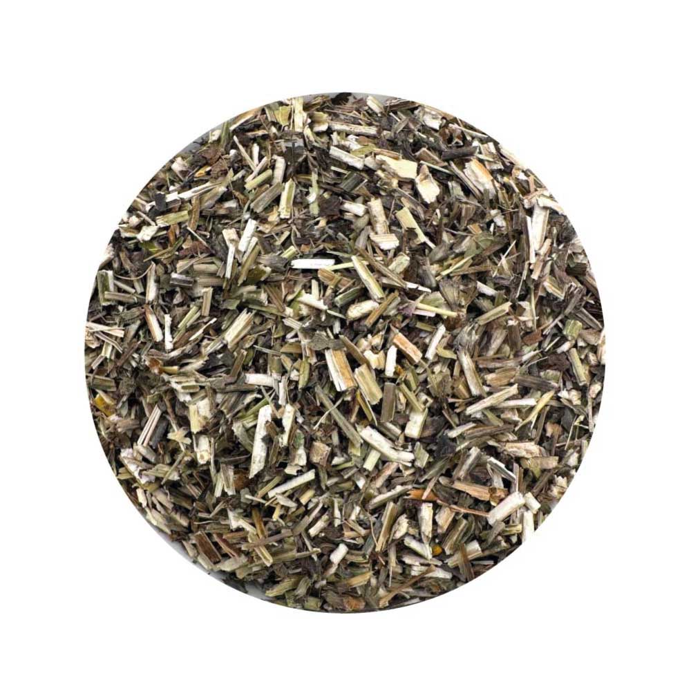 Wood Betony Herb for Protection and Healing